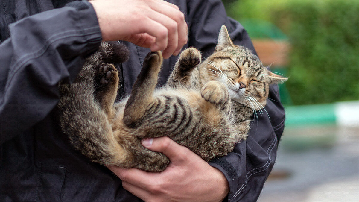 источник фото: damion.top