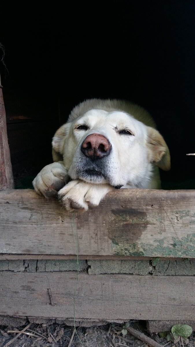 Гектар в гаражах.