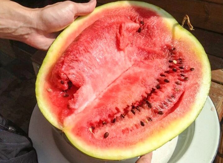 Источник изображения: https://brightside.me/articles/5-signs-of-a-nitrate-watermelon-that-can-help-you-avoid-poisoning-597510/