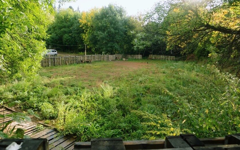  Собачья площадка на Буммаше. Фото: Мария Бакланова