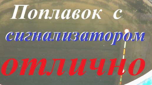 Классный поплавок с шариком.Тест в бочке и на пруду.Рыбалка на карася.