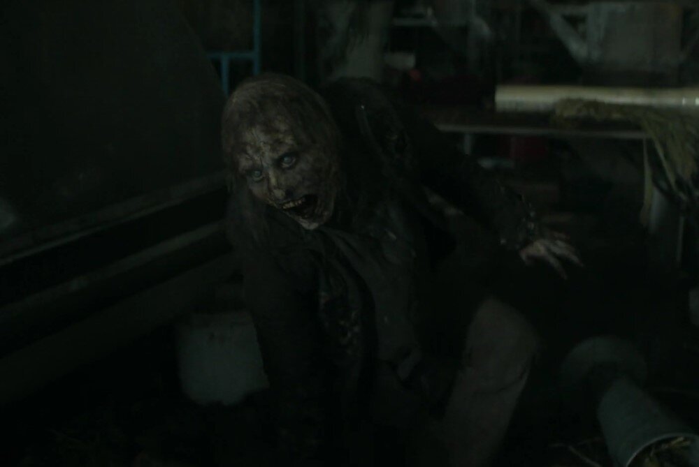     Кадр из 1 сезона сериала «Ходячие мертвецы: Дэрил Диксон» (2023)