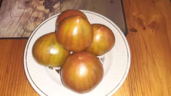 Томат "Сердце с сюрпризом", собрала недозревшими (фото автора)