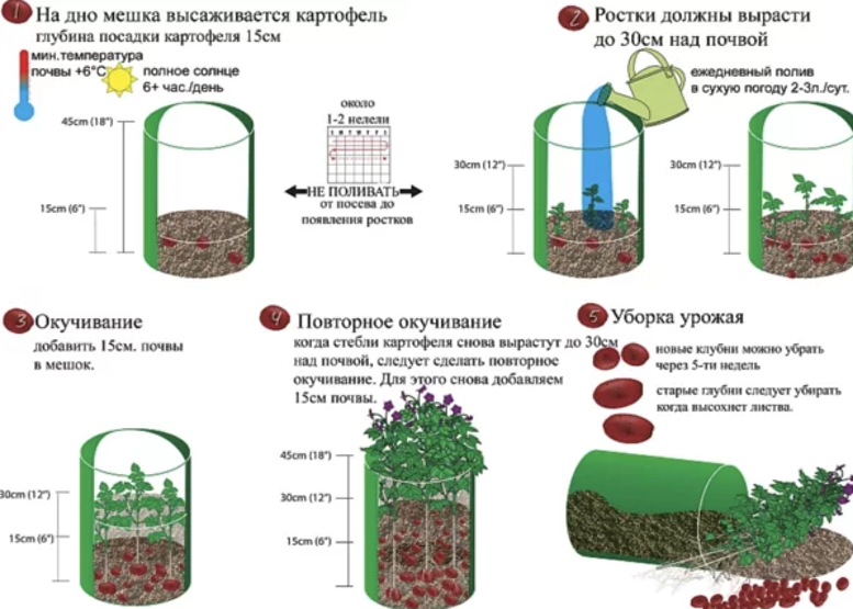 Картофелесажалки и картофелекопалки к мотоблоку. Их виды, типы, характеристики