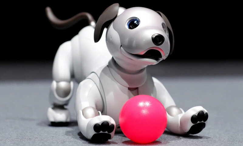 Источник фото: https://file.army/i/WjzF43