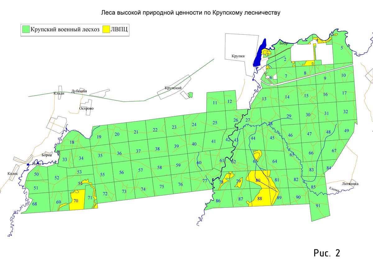 Еще один пример почти идеальной "шахматной" разбивки. Например, если вы находитесь между квадратами 37,38, 57, 58 то несложно по "школьному" правилу найти направление на север. 
Но здесь есть и т-образные пересечения просек.  например, 65, 66, 83.  "Школьное правило", конечно, можно применить, и оно сработает, но..  
Но в этом лесничестве (не зря я искал такую картинку) есть и более хитрые пересечения просек. Например, 50, 51, 52.  Грань между наименьшими числами указывает на запад...  Да,  есть и такие исключения, это надо просто иметь в виду.
