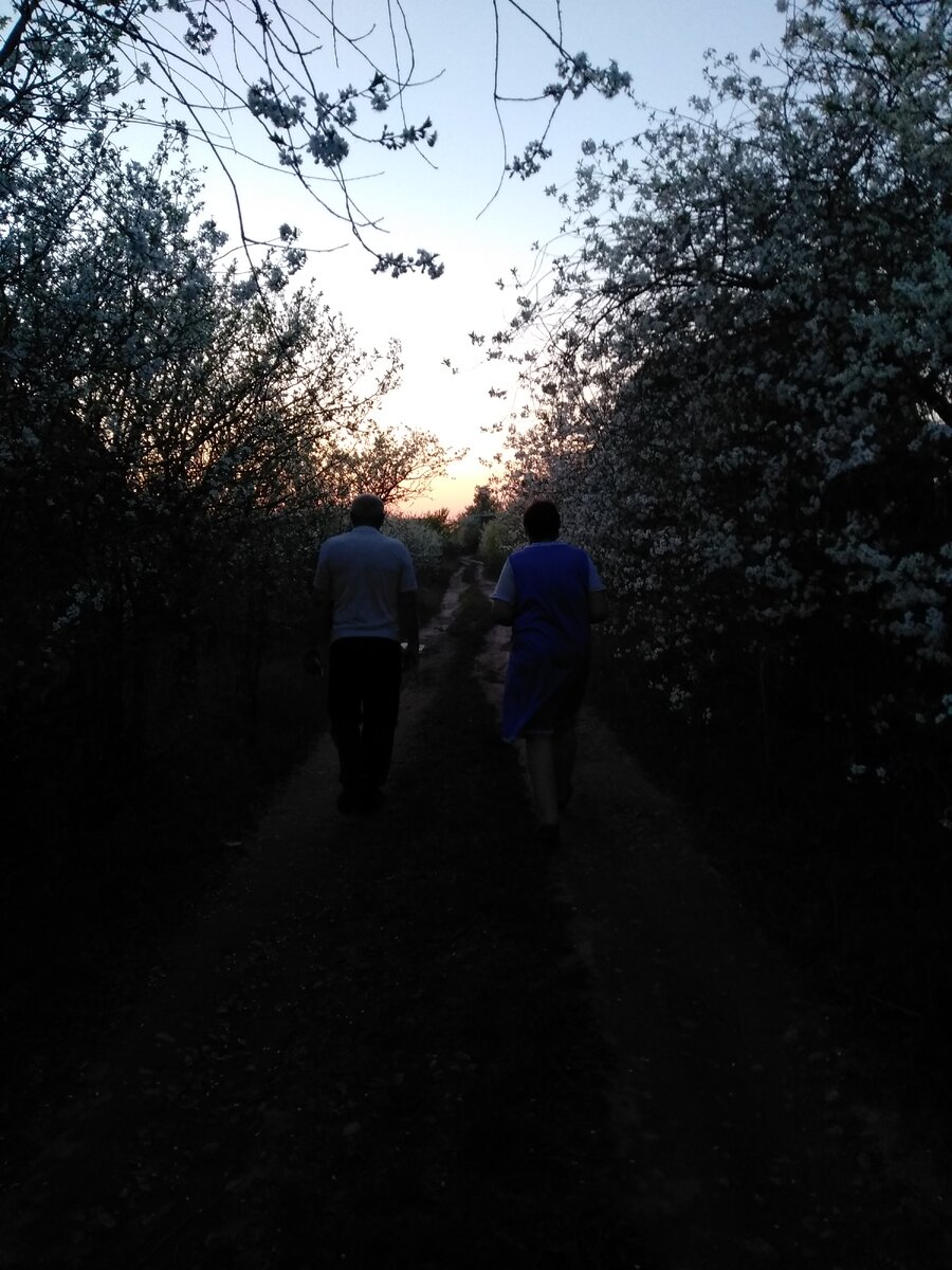 Мои любимые родители