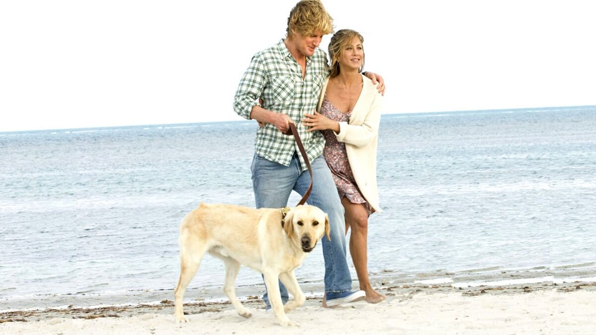 Картинка из свободного доступа google.com