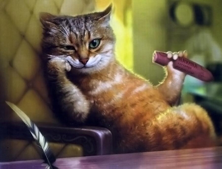 Кот без прикрас