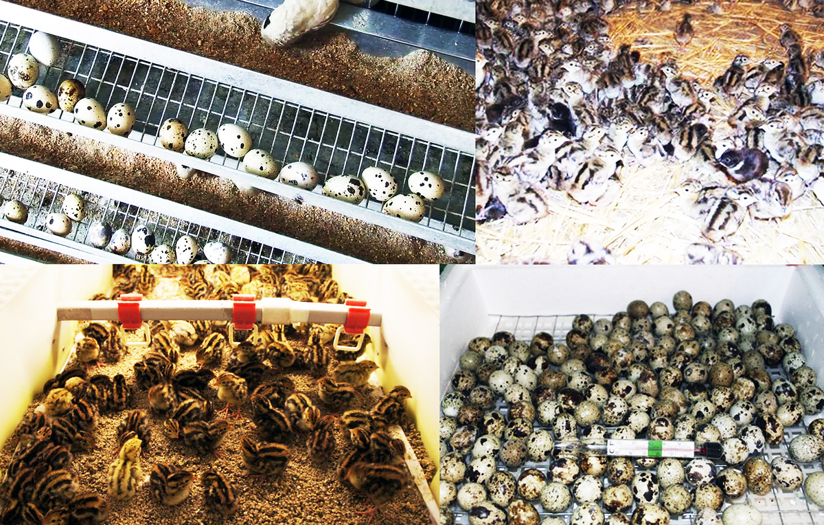 
Стартовый капитал - 50 тыс. рублей

Доход в месяц - от 70 тыс. рублей и выше

Окупаемость - 2 месяца
