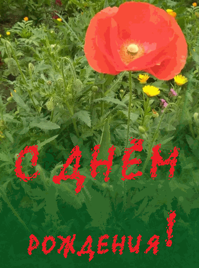 Получилась открытка в формате gif.