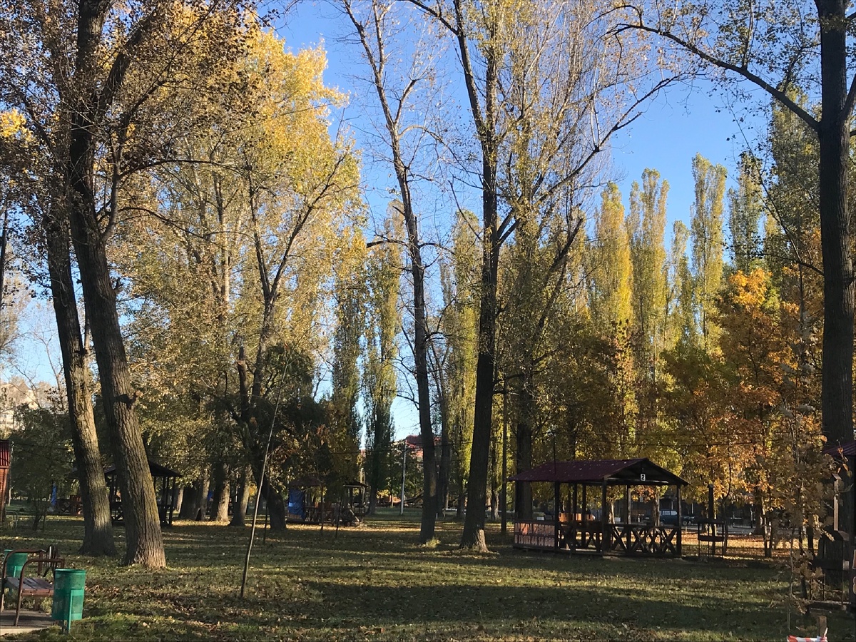 Осень - маленькая жизнь