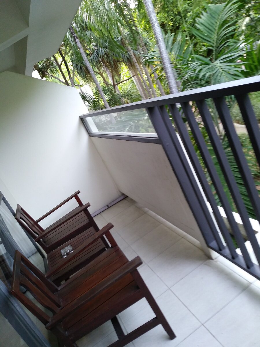 Балкон. Здесь бегают белки и гекконы.