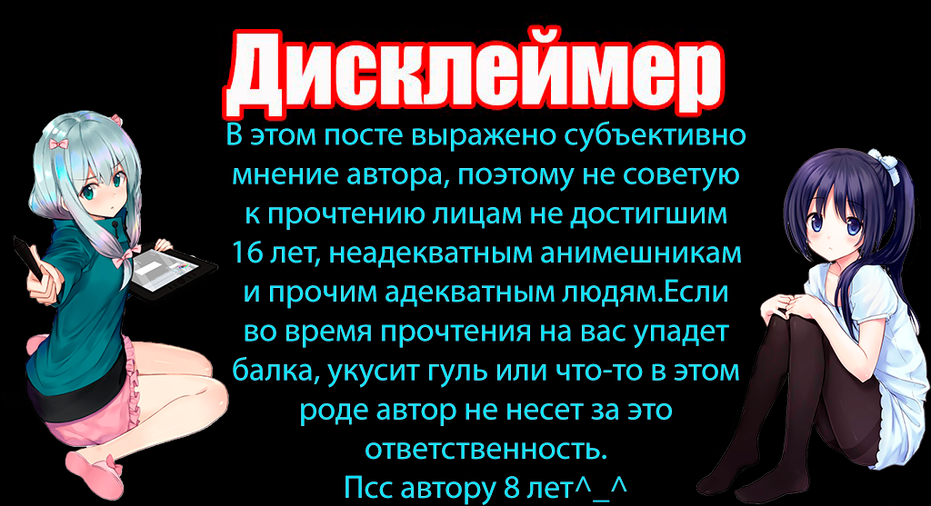 Дисклеймер для презентации