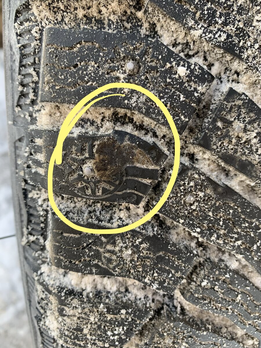 Место прокола 