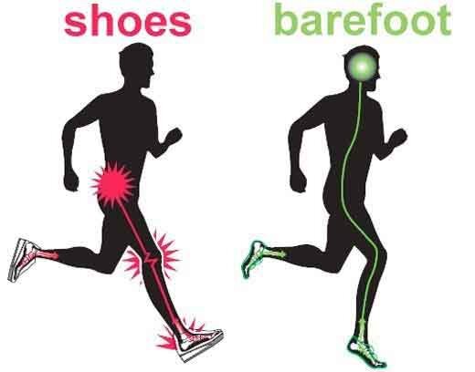 Фото: vitablog.ru