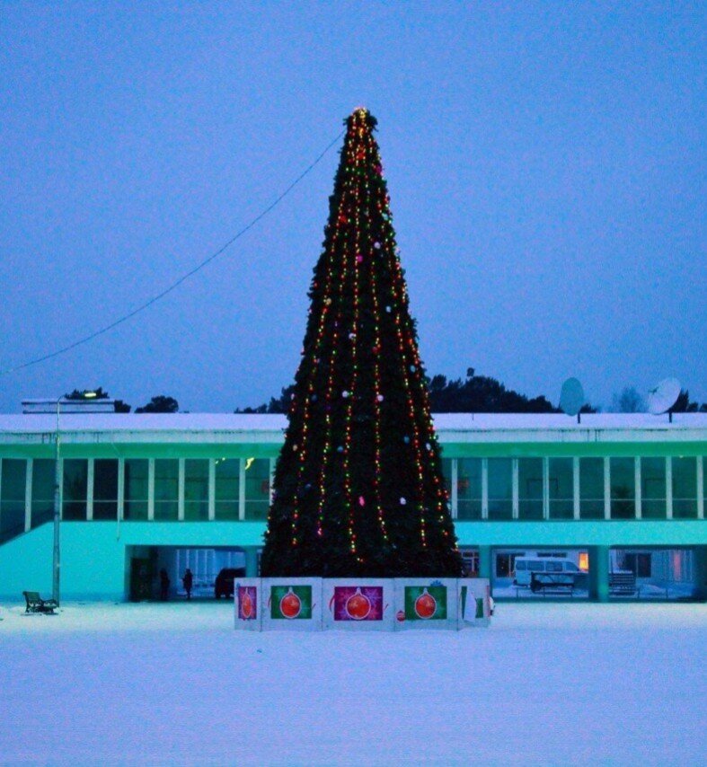 🎄Новогодняя Ёлка в небольшой провинции🎄