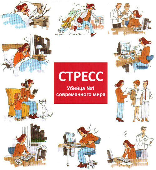 Картинка взята из открытых источников интернета.