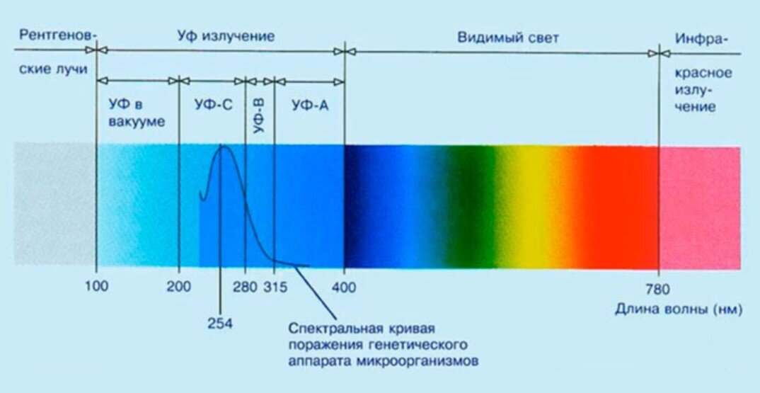 Карта ультрафиолетового излучения