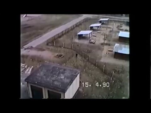 1990 - Релевантные порно видео (7180 видео)