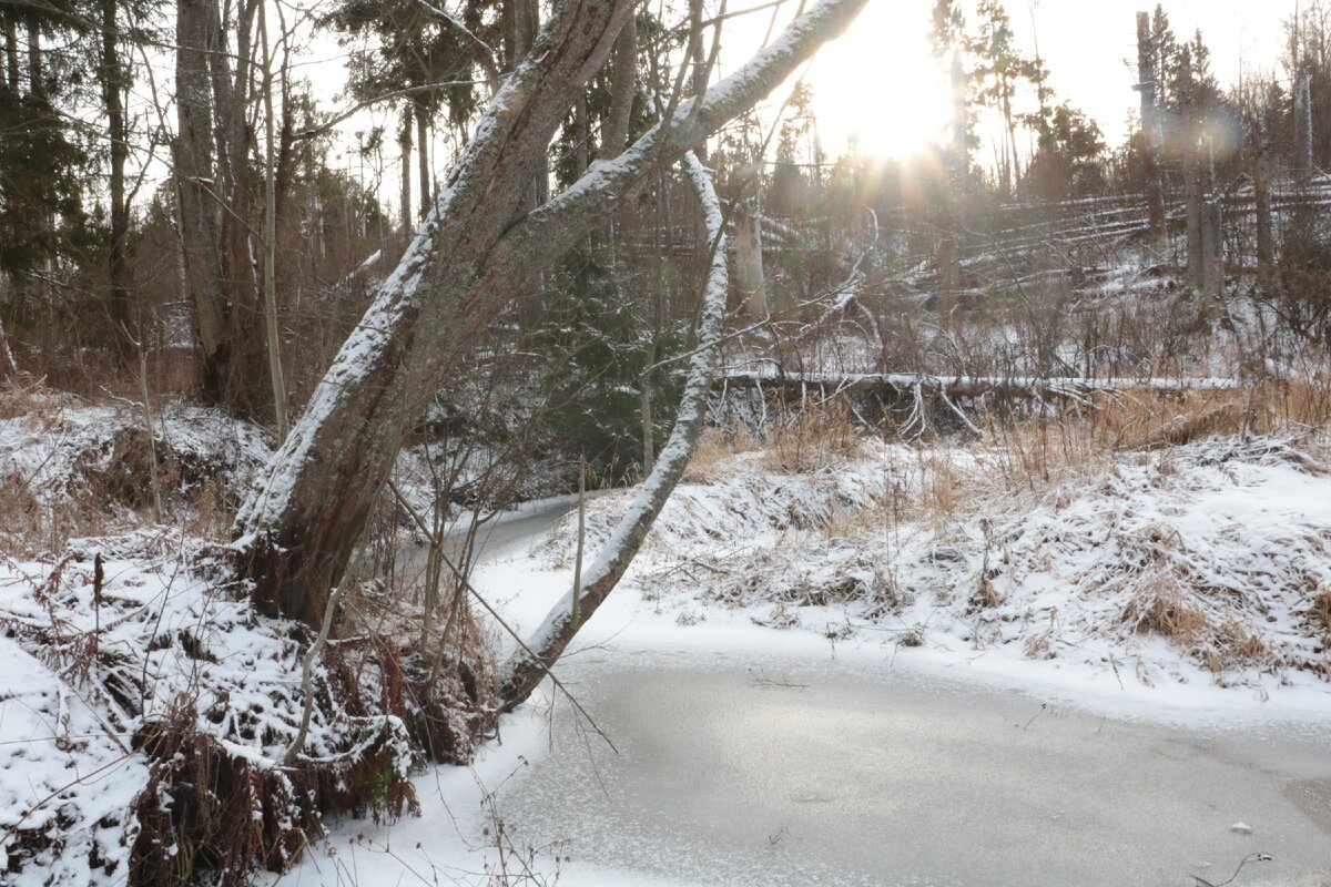 С погодой нам повезло — природа радовала свой красотой!