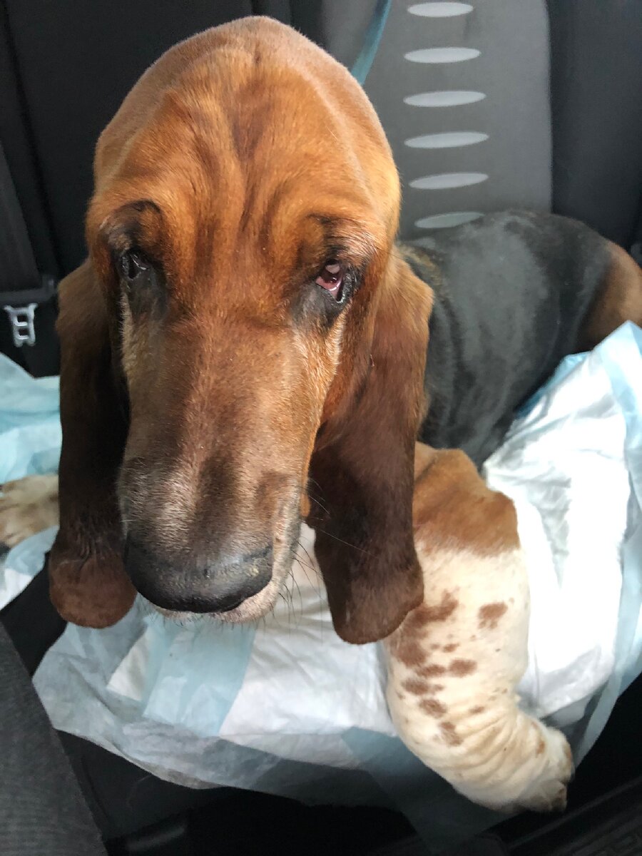 Я хочу жить.