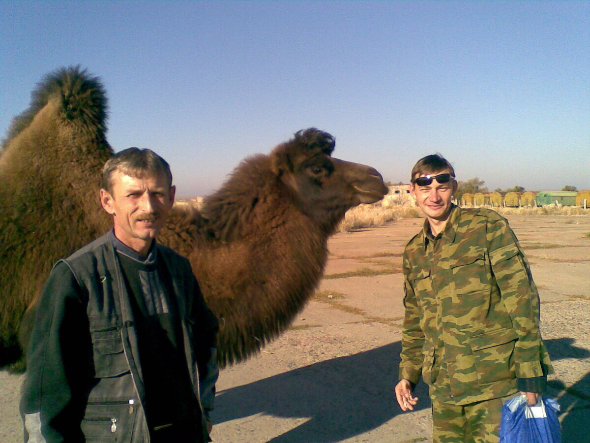 Наши корабли пустыни.