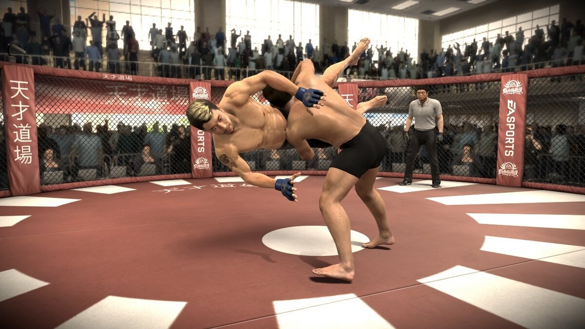 Игровые единоборства вид спорта. EA Sports игра ММА 2010. EA Sports MMA ps3. EA Sports ММА - EA Sports Sougoukakutougi. EA Sports MMA 3.