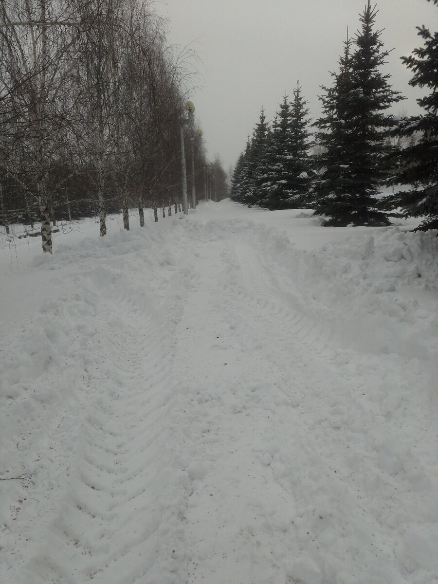 Толи чистим, толе нет...