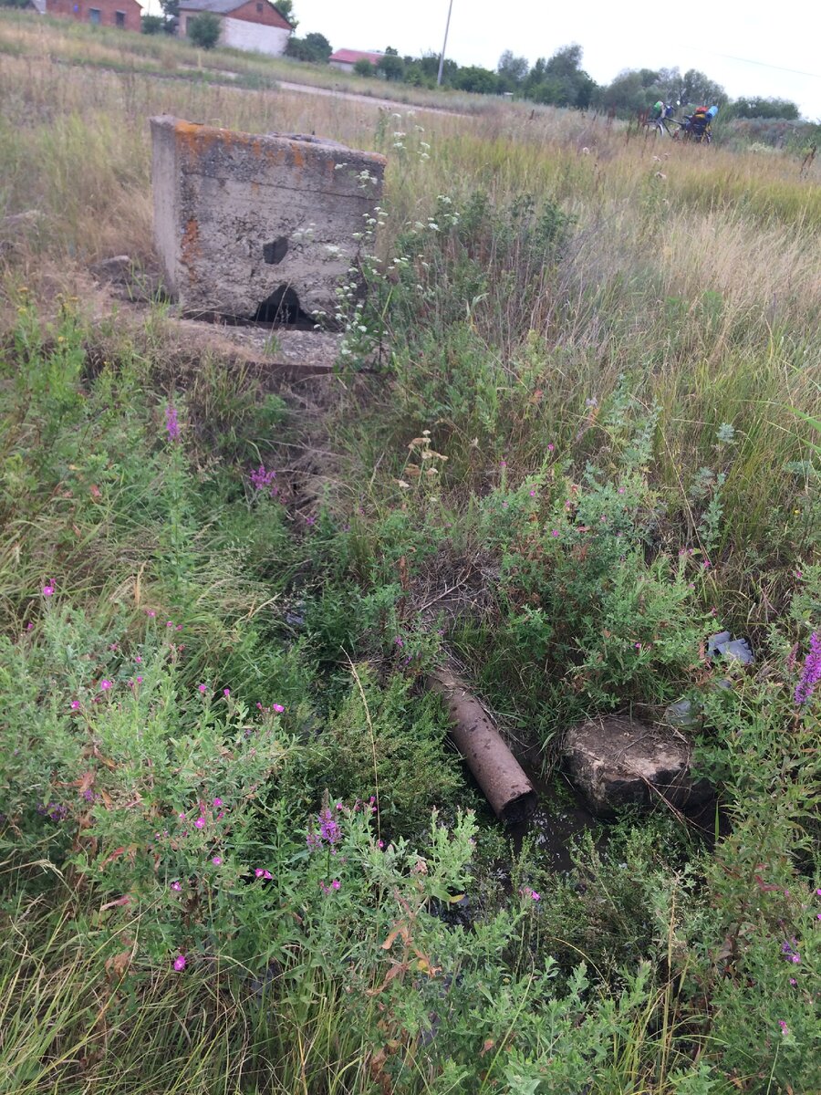 Родничок с водой, которая вытекает по трубам. На заднем плане велосипед у дороги стоит. Фото автора