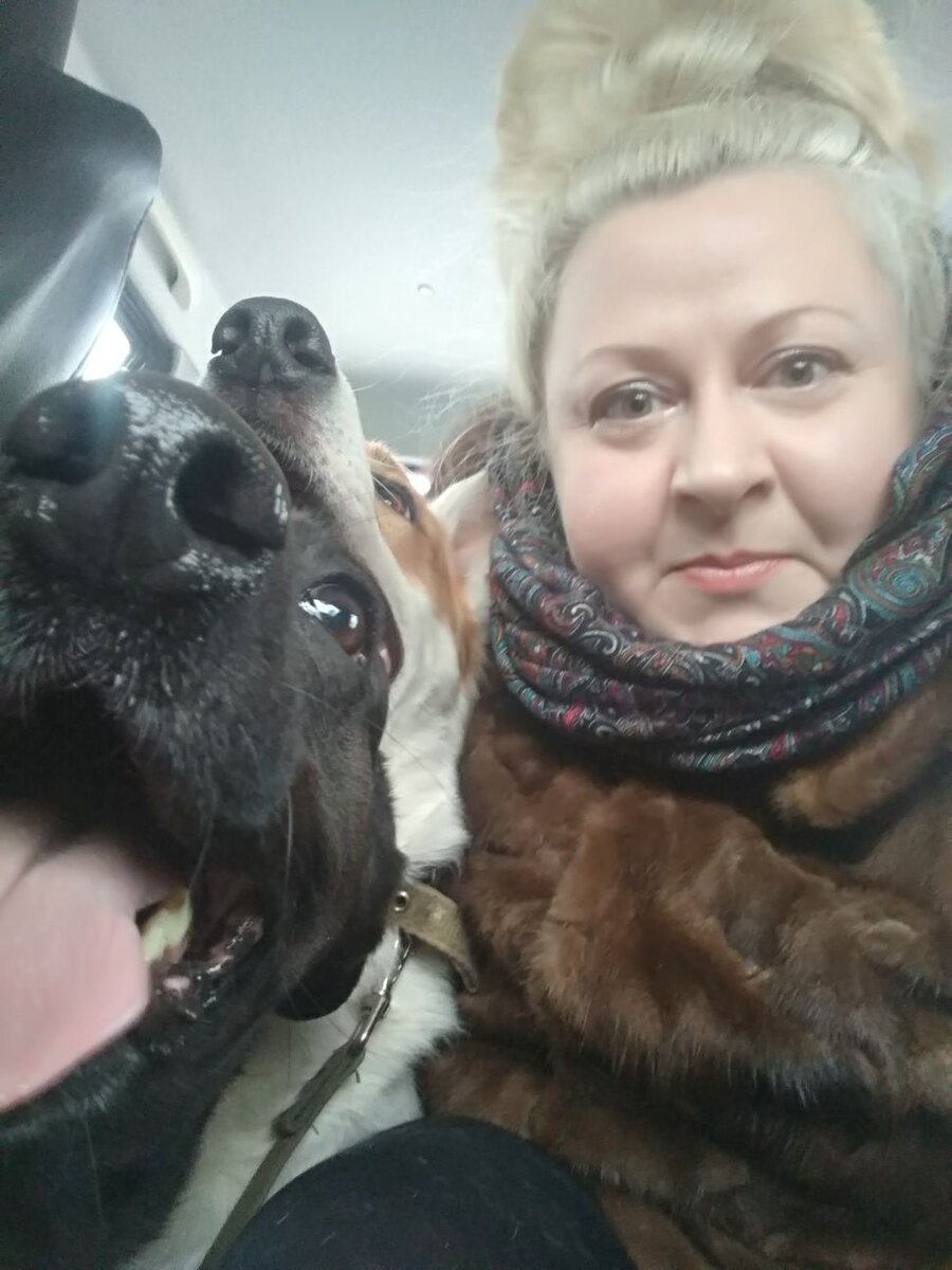 Ольга везёт свлих подопечных Чернушку и Беляша к новому хозяину