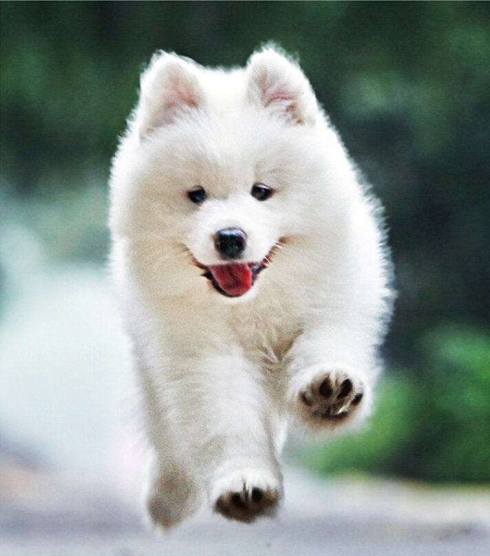 Фото: Яндекс