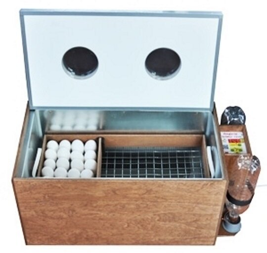 Инкубатор блиц.