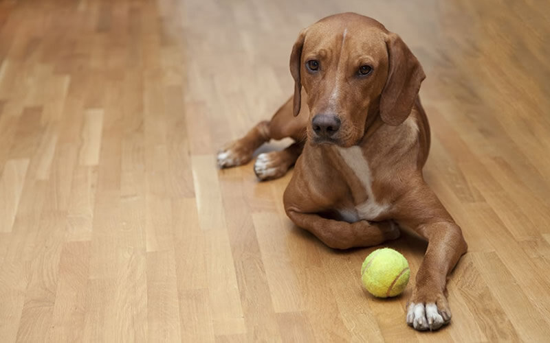Бессонница и тревожность - очевидные спутники любых серьезных изменений уклада жизни. Фото: redfin.com