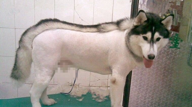 Изображение взято с сайта www.qiye8848.com