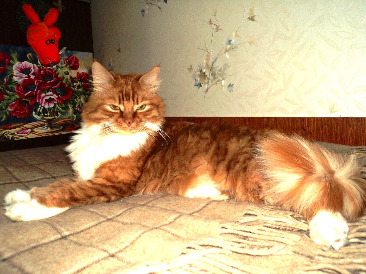 Это я - Феня 