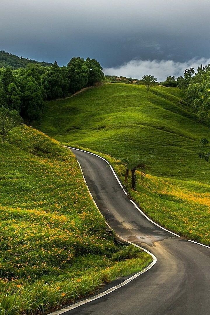 Яндекс картинки