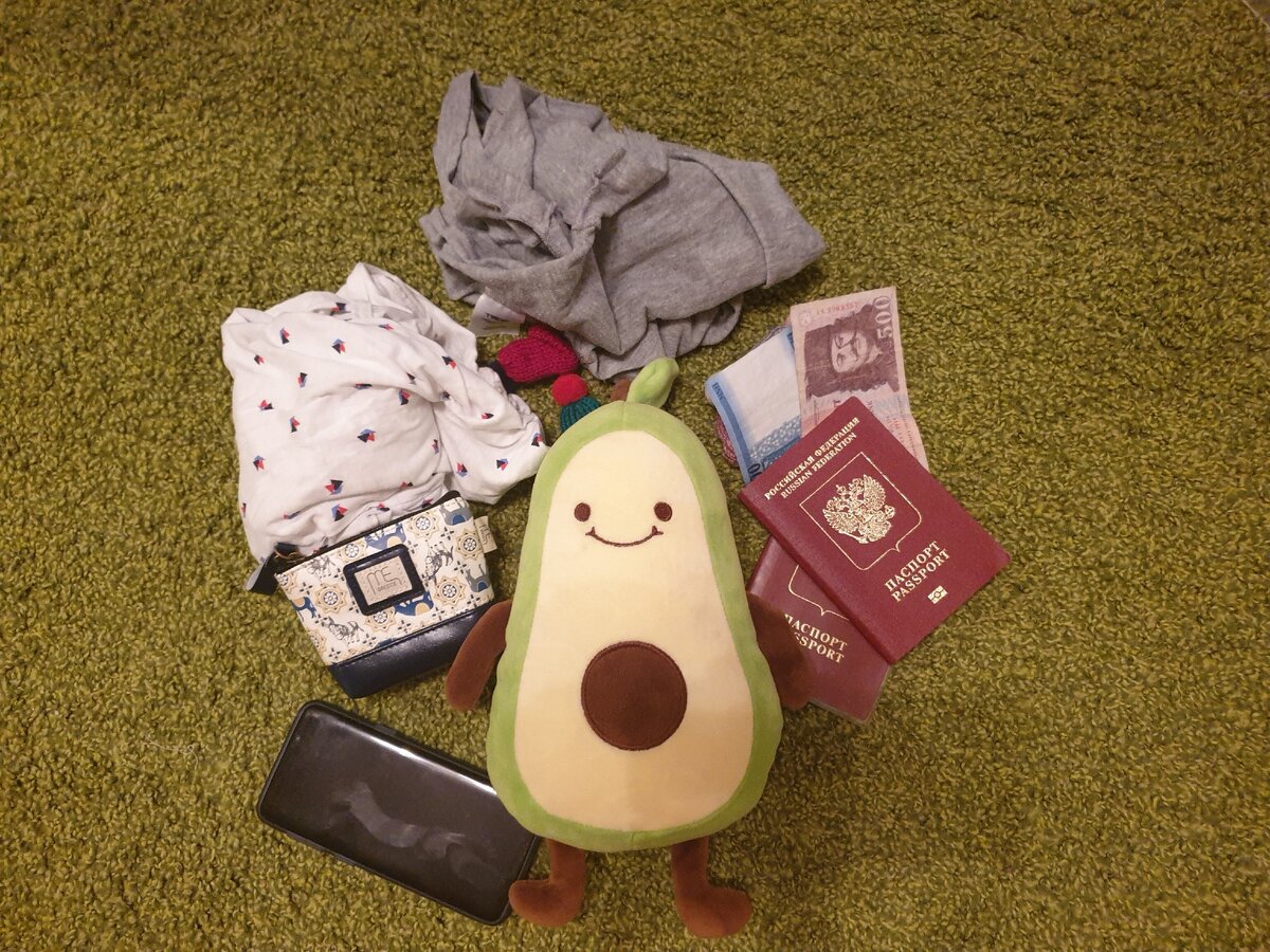 Хакс всегда путешествует налегке.