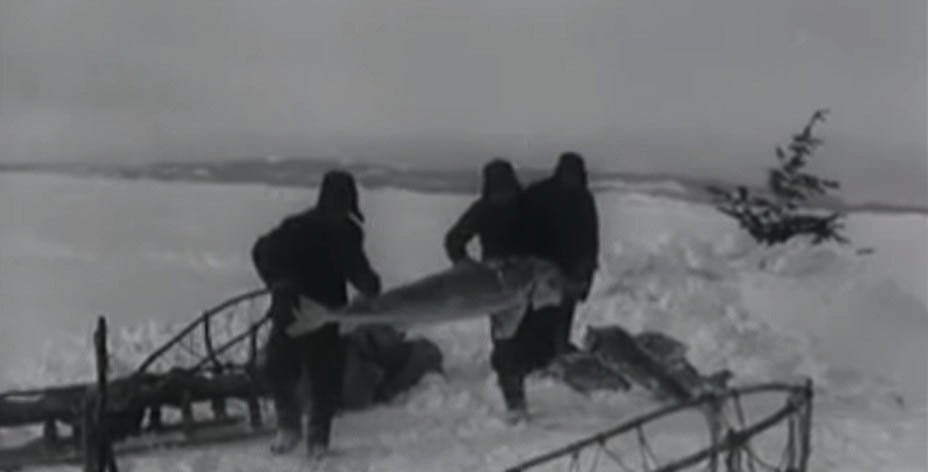 Промышленный лов.