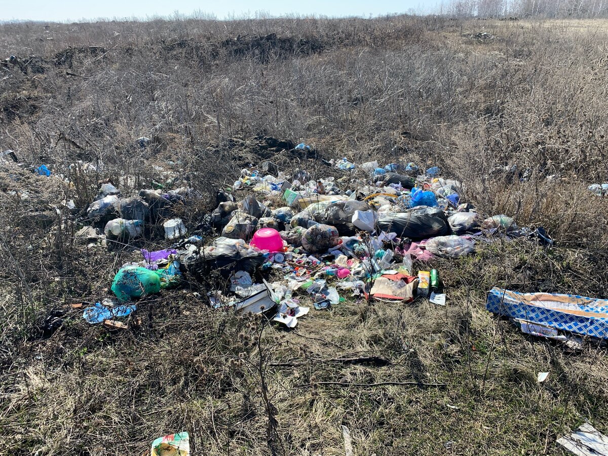 Жители деревни двадцать лет ждут, когда им починят единственную дорогу. Попросили меня рассказать о своей проблеме