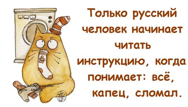 Картинка из интернета