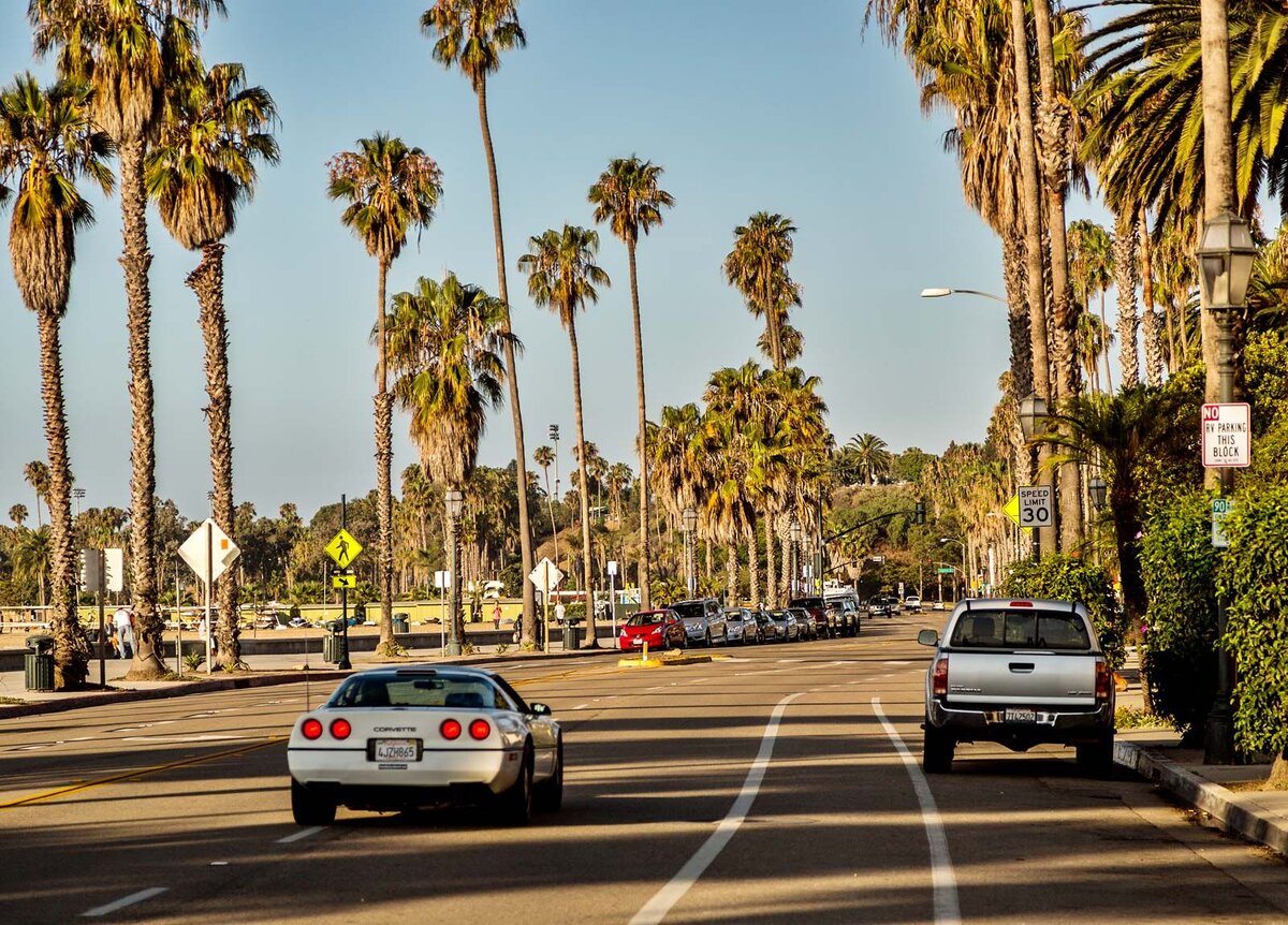 Источник иллюстрации - Яндекс Картинки