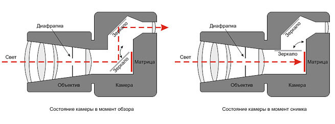 Пятиглазая камера для БПЛА: как она работает и зачем нужна фермерам