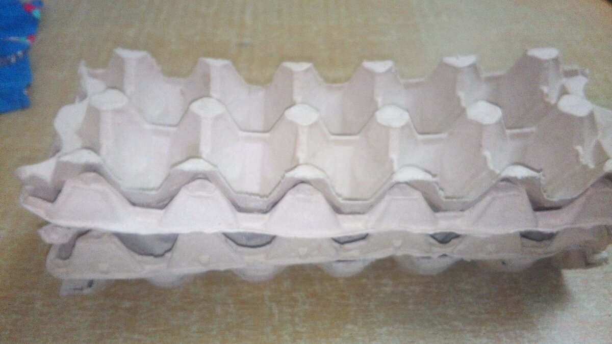 Ячейки из под яиц промочить(пролить) водой,подложить пакет и заполнить луковицами небольшого размера(как 2 яйца),