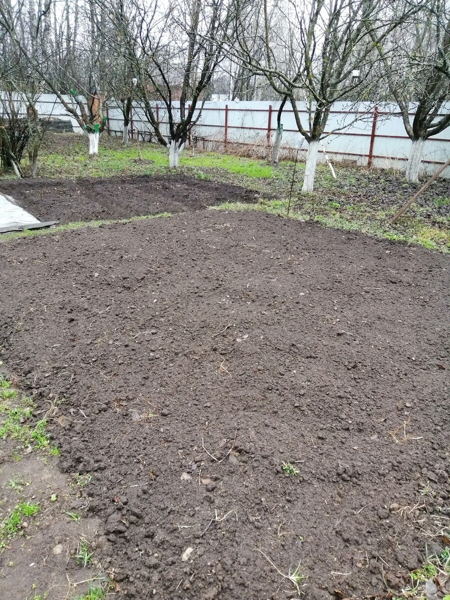 Огород ждет посадок