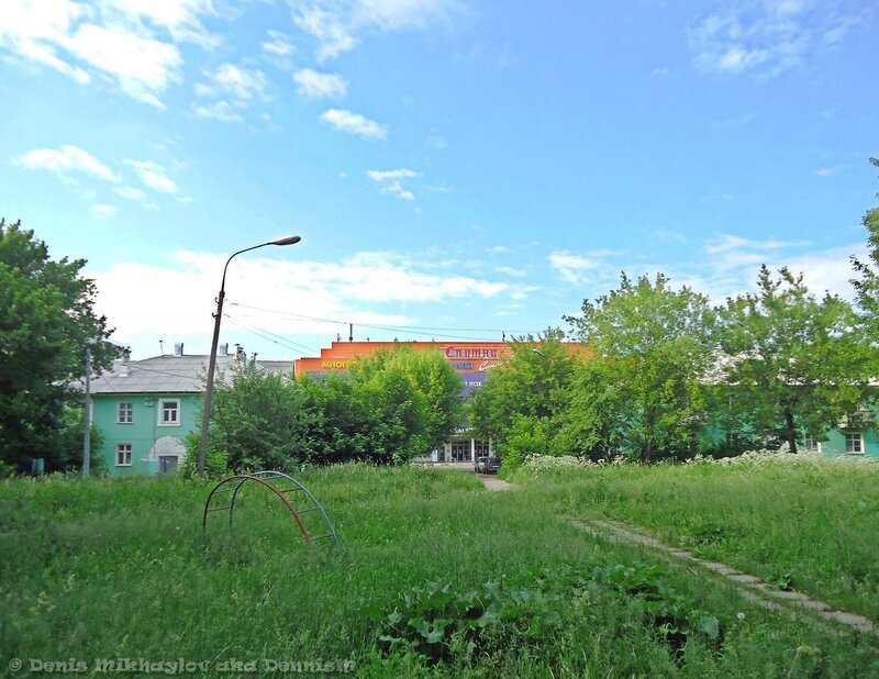 Кошачий парк