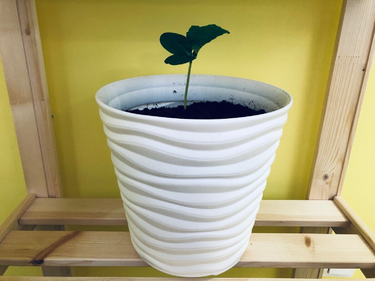 Кашпо «Дюна», Леруа Мерлен