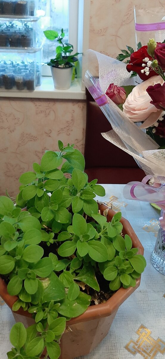 В конце марта,она вот такая была.