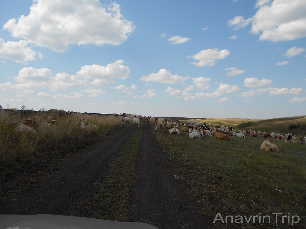 Дорога к роднику.