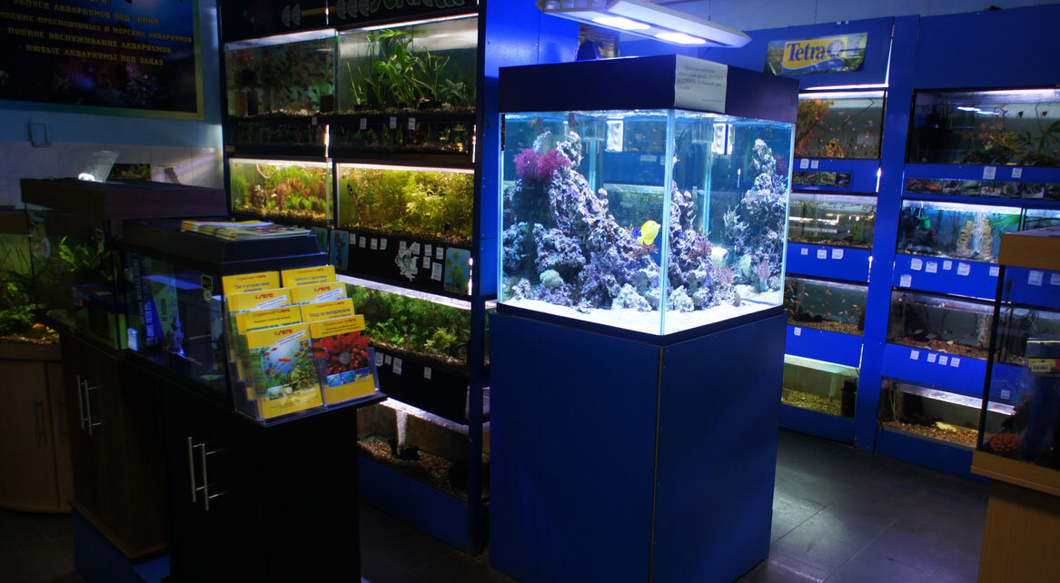 Купить и привезти в дом аквариум Источник фото Яндекс